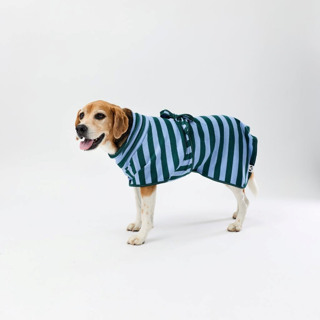 A dog wearing a green and light blue striped dog towel robe, standing against a plain white studio background.