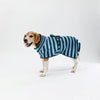 A dog wearing a green and light blue striped dog towel robe, standing against a plain white studio background.