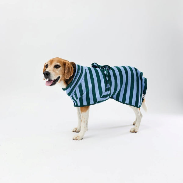 A dog wearing a green and light blue striped dog towel robe, standing against a plain white studio background.