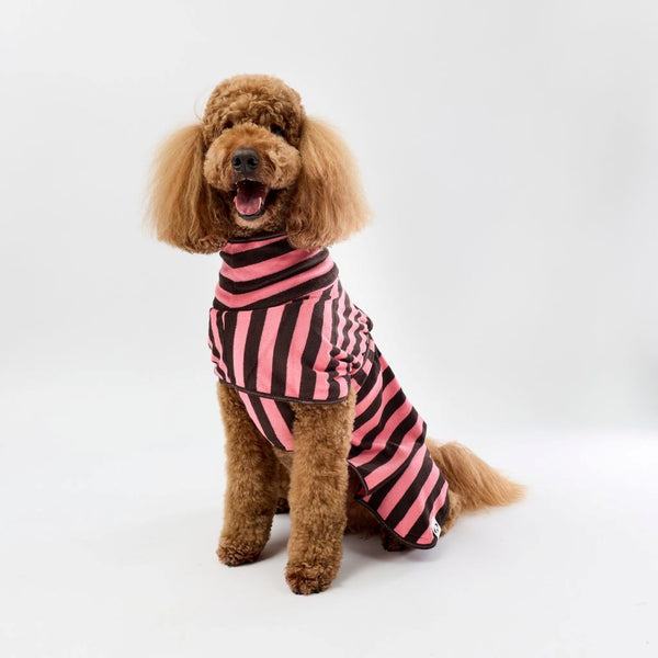A brown poodle wearing a pink and chocolate striped dog towel robe, sitting against a plain white studio background.