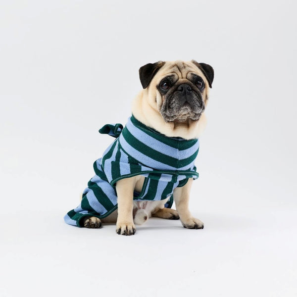 A pug dog wearing a green and light blue striped dog towel robe, sitting against a seamless white studio background.