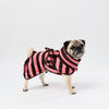 A pug dog wearing a pink and black striped dog towel robe, standing against a seamless white studio background.