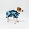 A small dog wearing a green and light blue vertically striped dog towel robe standing against a plain white studio background.