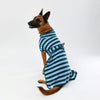 A dog wearing a dog towel robe with dark green and light blue horizontal stripes, sitting against a plain white studio background.