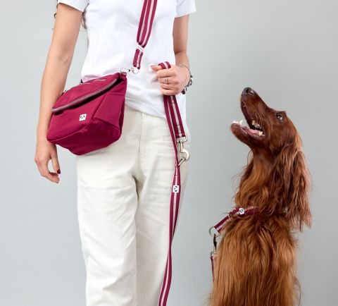 Snoot Style Dog Walking Bag.