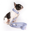 Snoot Style Double Ended Dog Lead Blue.