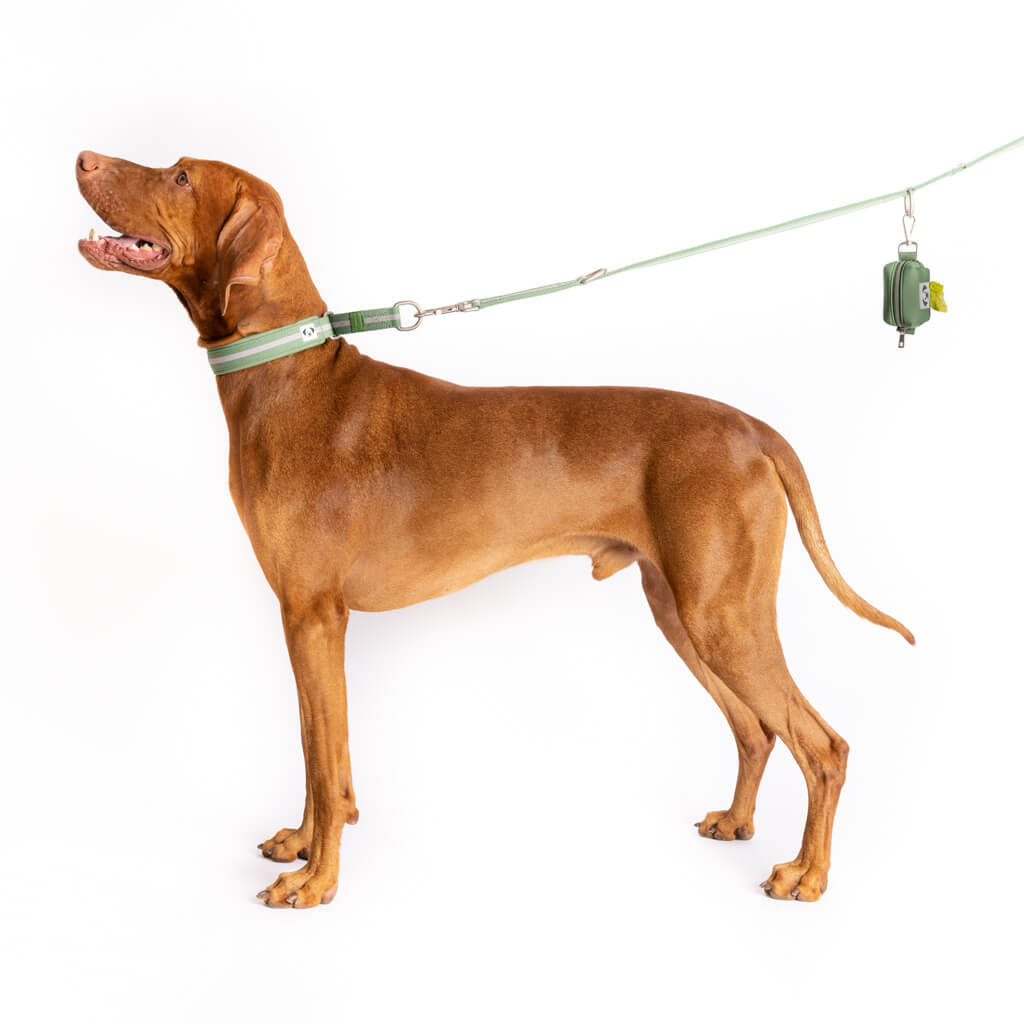 The Snoot Style green double ended dog lead.