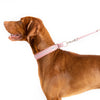 Snoot Style Pink Double End Dog Lead.