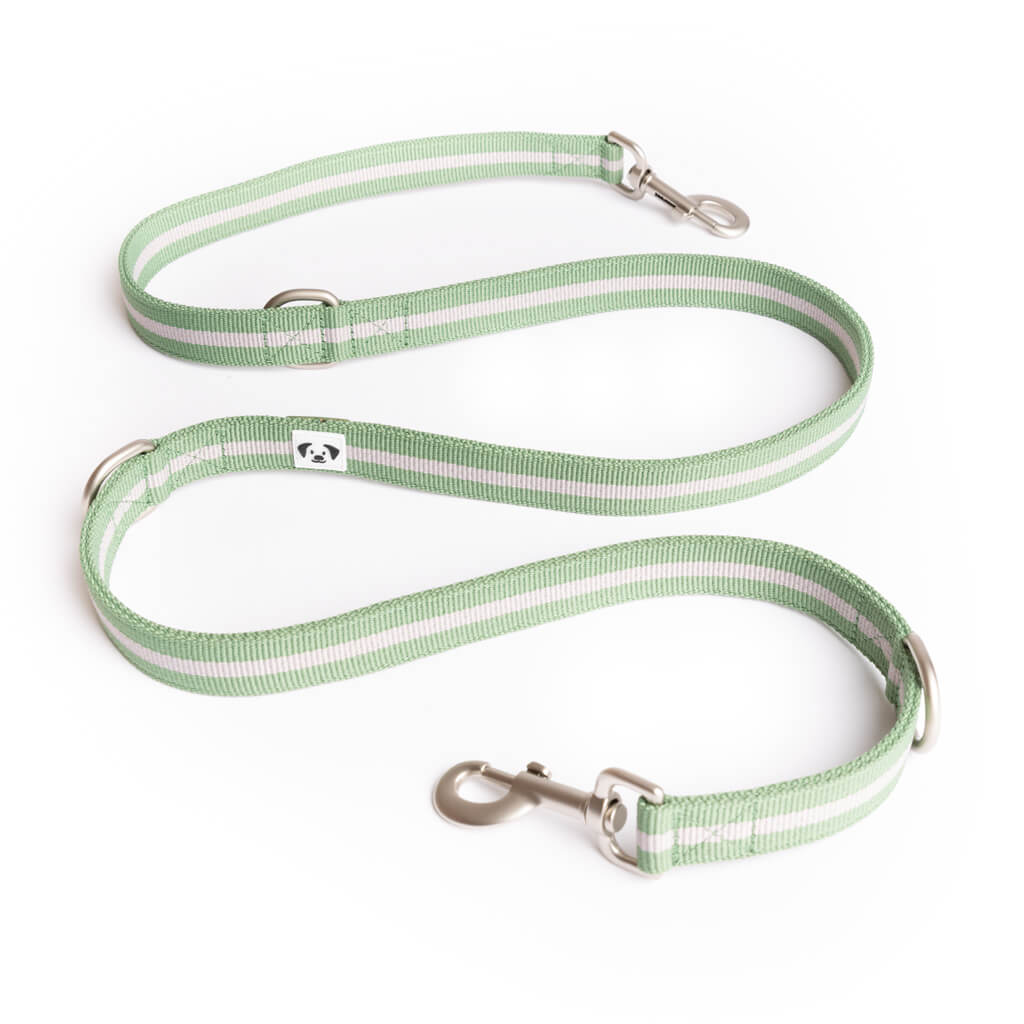 Snoot Style Double Ended Lead in Green.