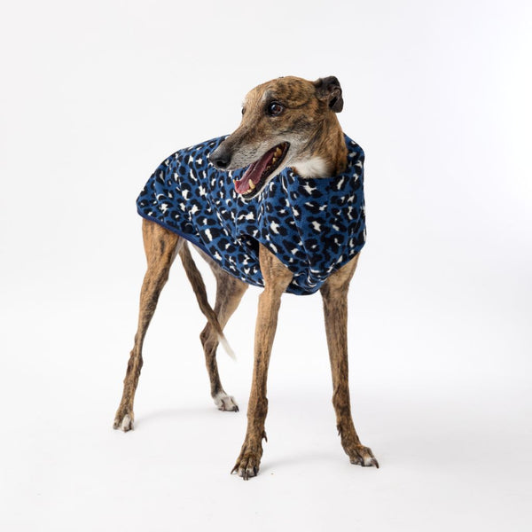 Snoot Style Greyhound Dog Coat