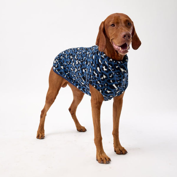 Snoot Style Large Dog Coat