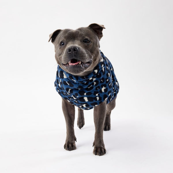 Snoot Style Dog Coat for Staffys