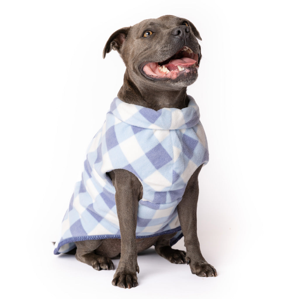 Dog wearing a blue and white checkered blanket on a white background