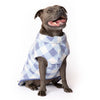 Dog wearing a blue and white checkered blanket on a white background