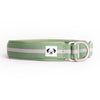 The Snoot Style Martingale Collar in Green.