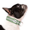 French Bulldog wearing the green Snoot Style Martingale Collar.