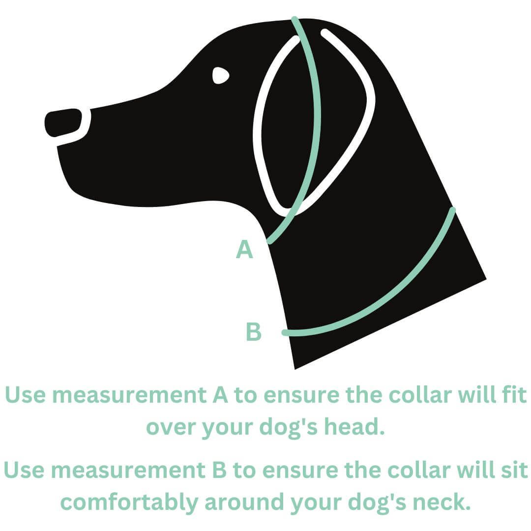 Size chart for the Snoot Style Martingale Collar.