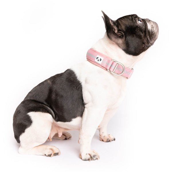 The Snoot Style Slip on Collar in pink.