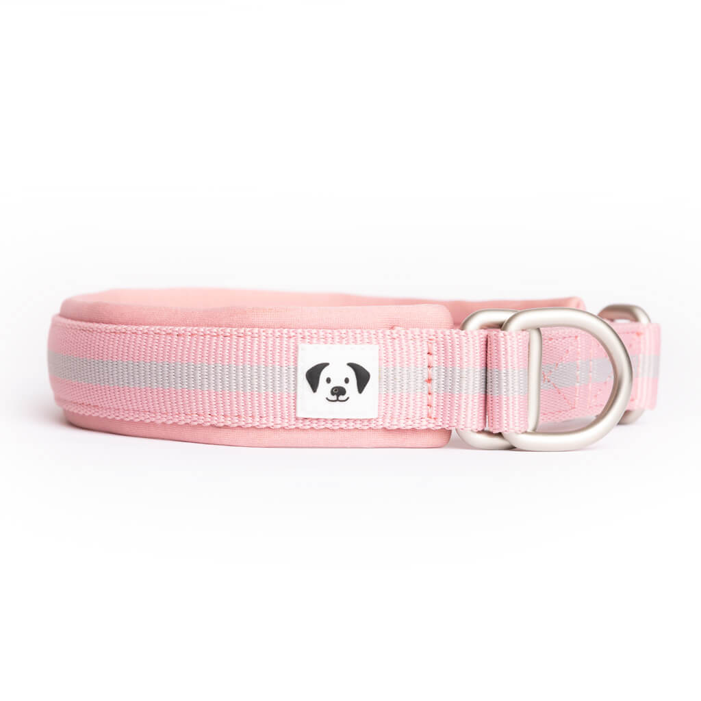 Snoot Style Martingale Collar Pink.