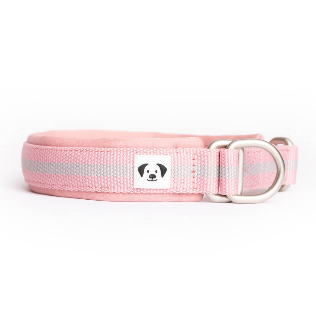 Snoot Style martingale collar.