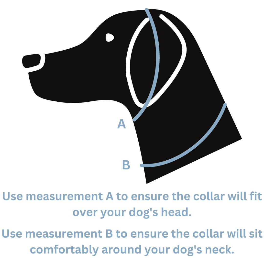 Snoot Style Martingale Dog Collar Size Chart.