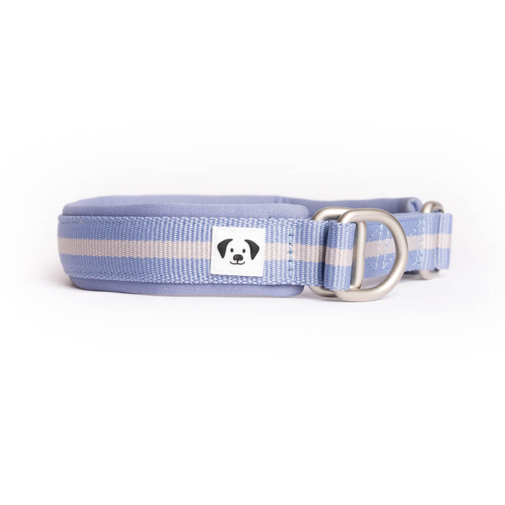 Snoot Style Padded Slip-on Dog Collar.