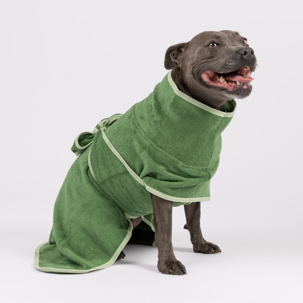 Snoot Style green dog bath robe.