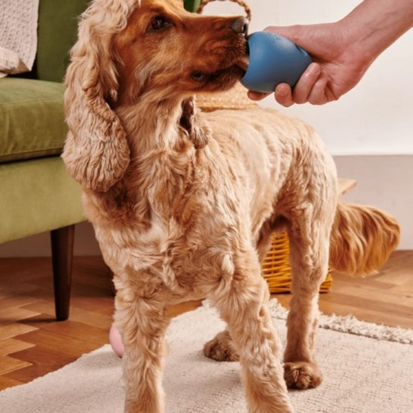 Dog Enrichment Toy | Boredom Buster | Rubber | Beco