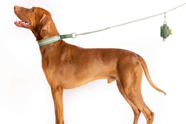 Snoot Style Comfortable Padded Dog Collar.