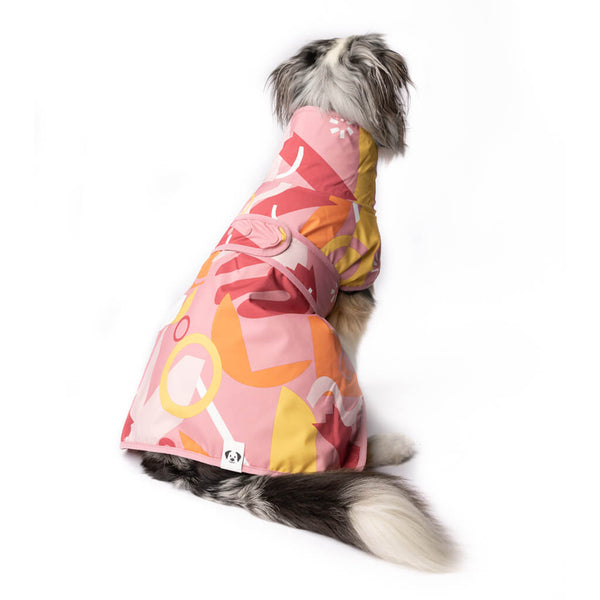 Dog wearing a colorful patterned raincoat on a white background