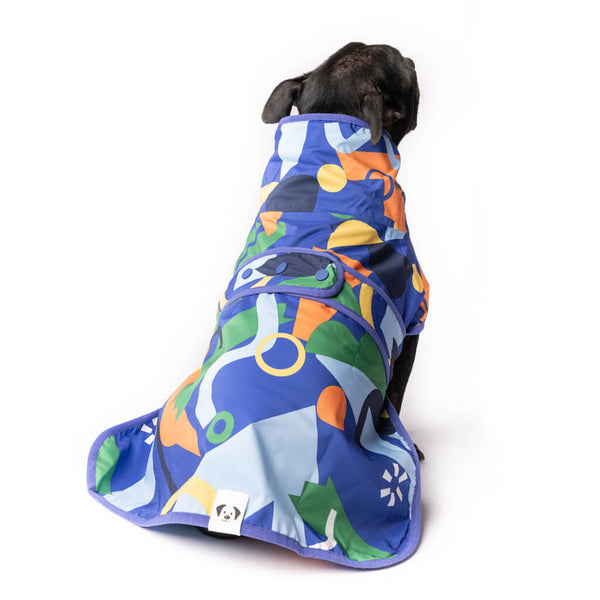 Dog wearing a colorful patterned coat on a white background