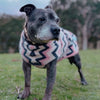 Dog wearing a pink and black patterned coat standing on grass with trees in the background