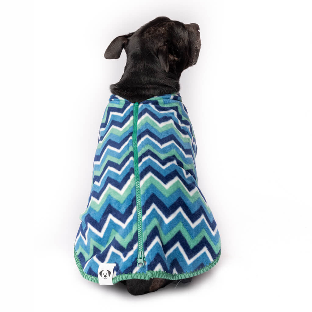 Dog wearing a blue and green zigzag patterned coat on a white background