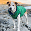 Dog wearing a green puffer vest standing on rocks with a natural background