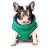 Dog wearing a green puffer coat on a white background