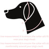 Size Chart for the Snoot Style Martingale Collar