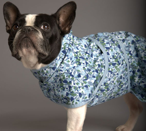 Snoot Style sustainable dog coat.