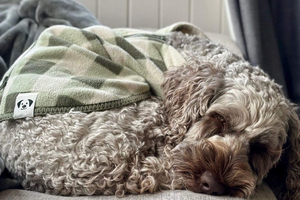 Snoot Style Warm Winter Dog Coat