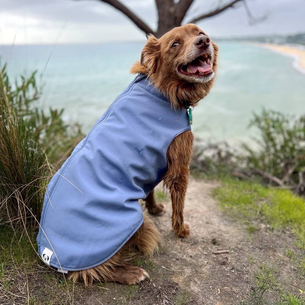 Snoot Style warm waterproof dog coat.