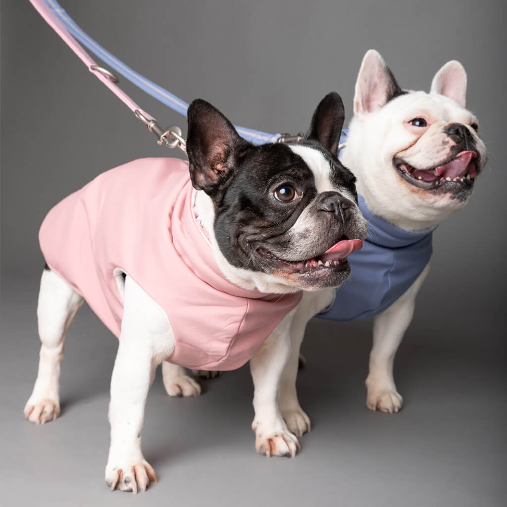 Snoot Style waterproof dog coats.