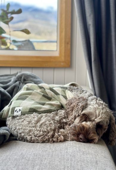 Snoot Style Cosy Winter Dog Coat