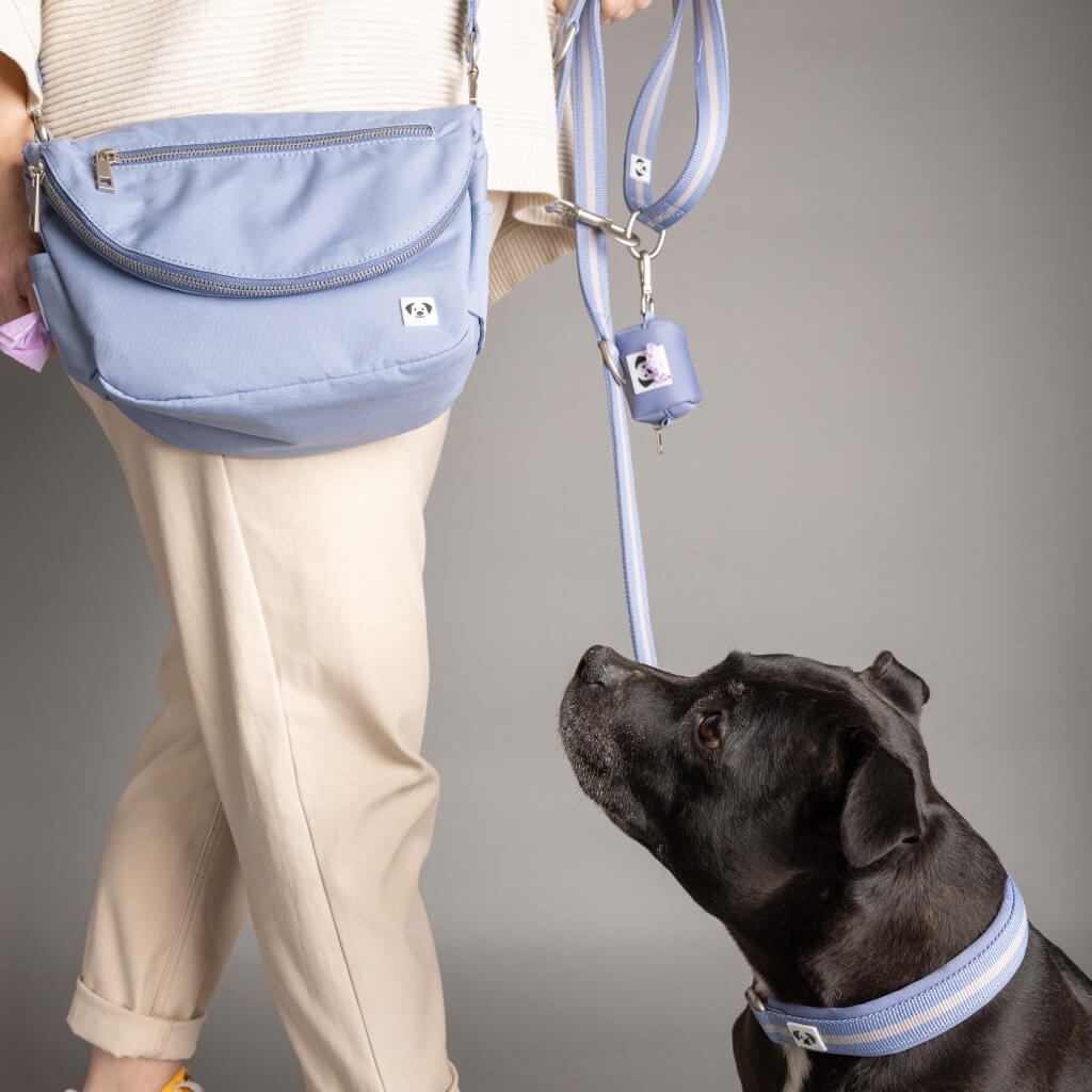 Snoot Style matching dog walking bag.
