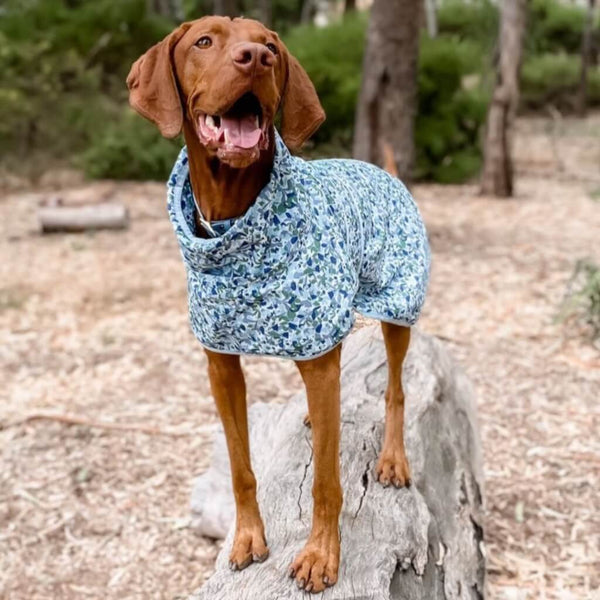 Snoot Style large dog raincoat.