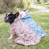 Snoot Style small dog raincoat