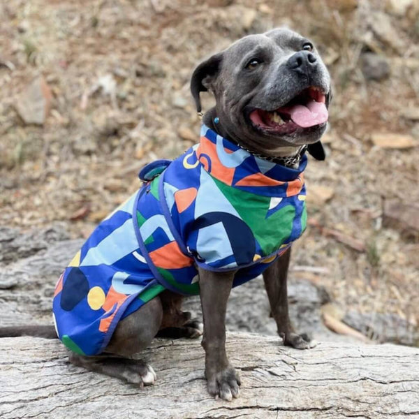 Dog wearing a colorful raincoat standing on a log with a natural background