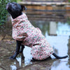 Snoot Style waterproof dog raincoat.