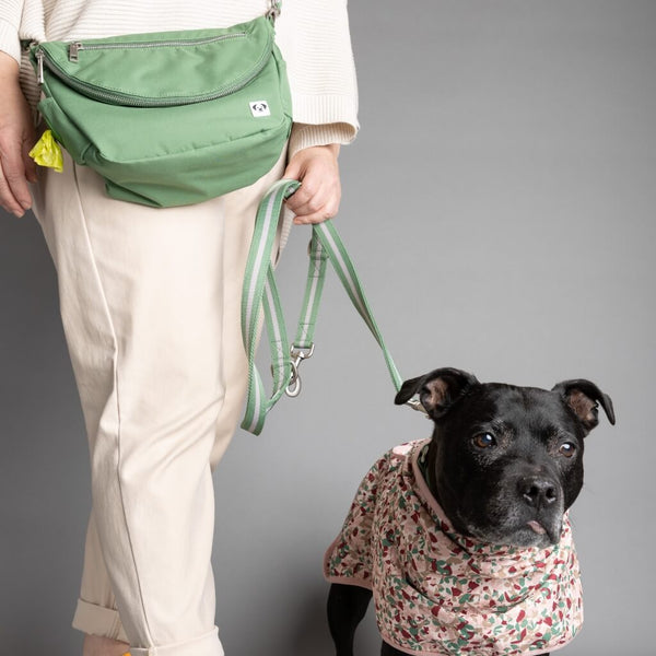 Snoot Style green dog walking bag.