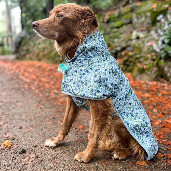 Beat the Elements Dog Raincoat | Blue Ditsy