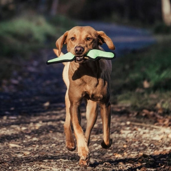 Tough Dog Toy made from Recycled material
