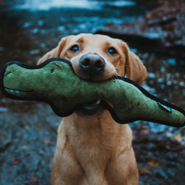 Snoot Style Tough Dog Toys